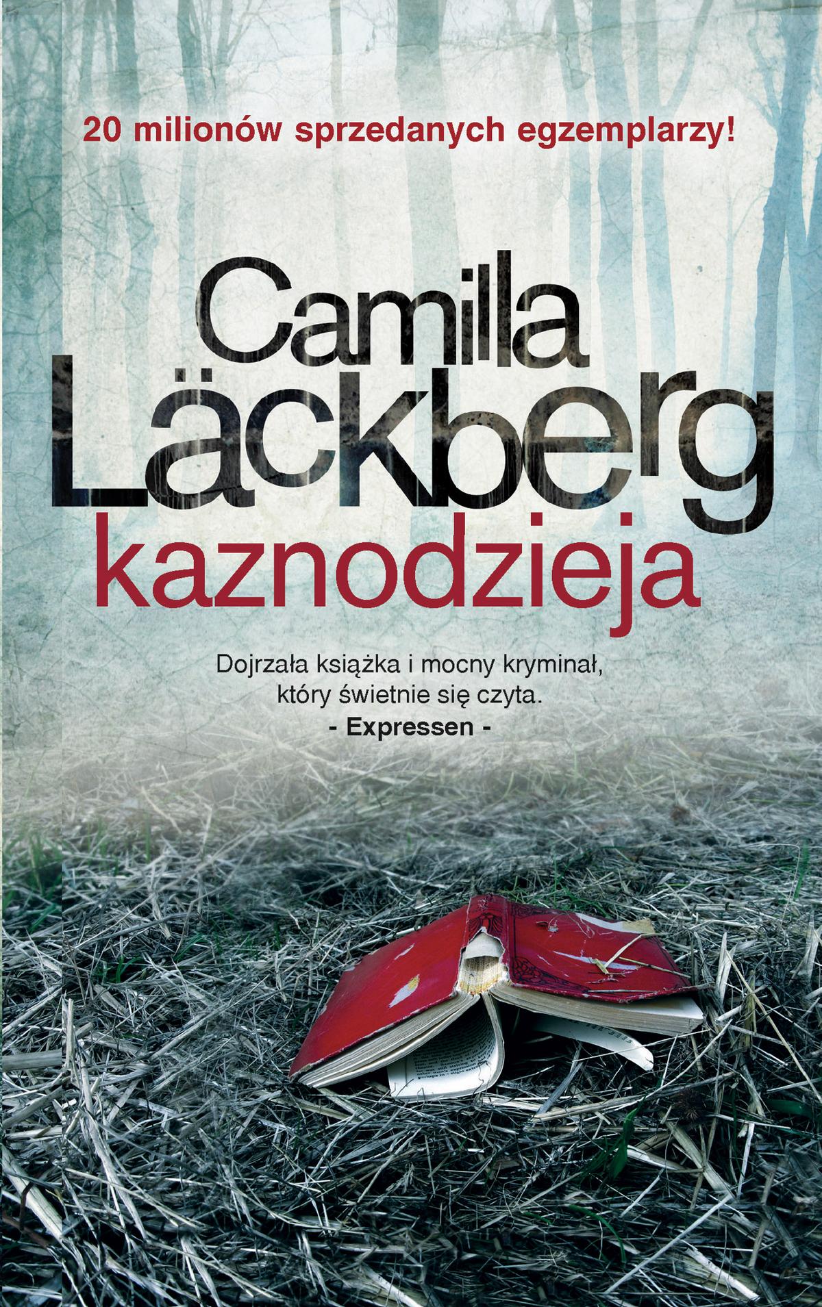 Okładka: Kaznodzieja